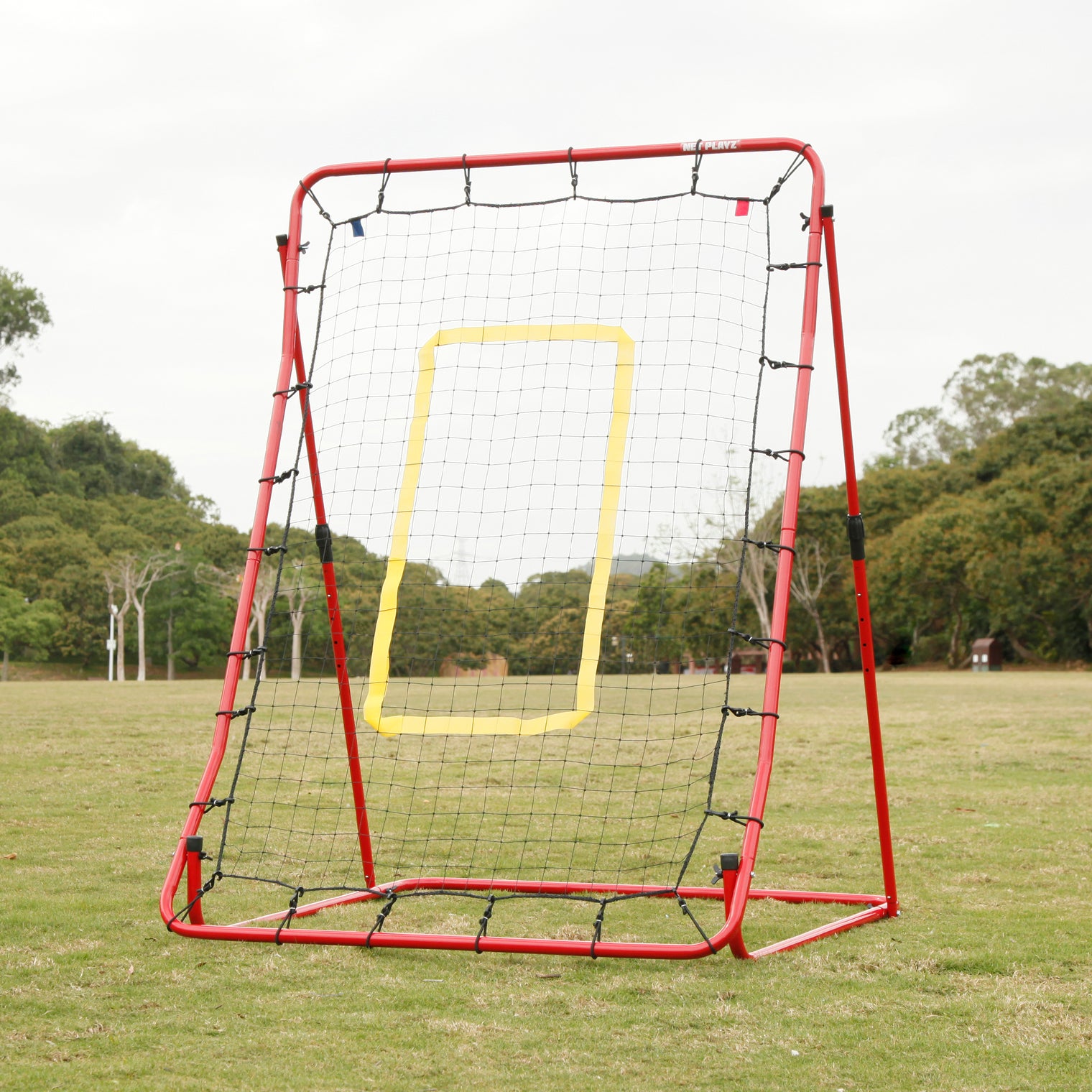 Multi-Angle Pitchback - Personal trainer